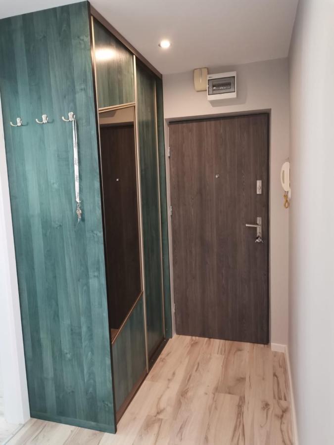 Pionierska Apartment